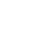 Shadcn icon
