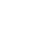 Zustand icon